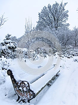 View of a park in winter