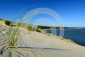 View from the Parnidis dune over Nida and the Curonian Lagoon. Nida. Lithuania