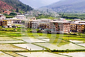 View of Paro valley with green rice field, Paro, Bhutan