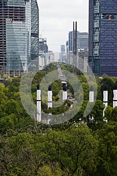 View of Paseo de la Reforma from Bosque de Chapultepec park, Mexico City - vertical