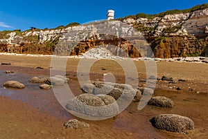 Barnacle-encrusted rocks with a backdrop of the white, red and orange stratified chalk cliffs at Old Hunstanton, Norfolk, UK