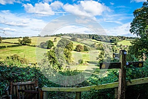 View past footpath sign towards Petworth