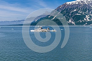 A view past icebergs towards the mouth of Disenchartment Bay in Alaska