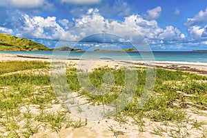 A view past sea grass from Orient beach in St Martin