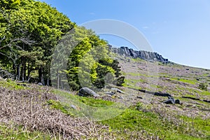 A view past trees towards the escarpment of Stanage Edge in the Peak District, UK