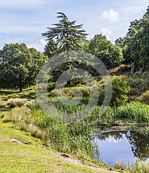 A view past a weir on the River Lin in Bradgate Park, Leicestershire, UK