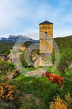 View of the pastoral village of Yeba in the Pyrenees mountains