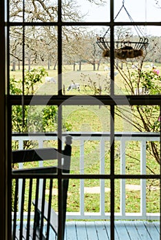 View of a pasture with cows through ranch house window