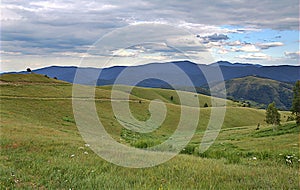 View on pasture from mountain Stolovi