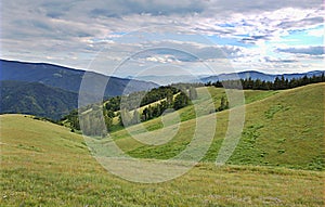 View on pasture from mountain Stolovi