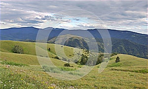 View on pasture from mountain Stolovi