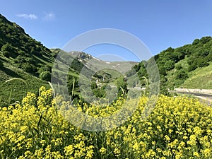 A view of the pastures in Tamdere Village in Giresun photo