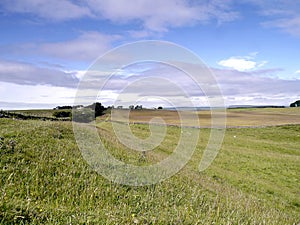 View of path along open fields