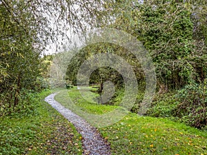 View of path in Kenwith valley local nature reserve aka LNR, and community park. Photo taken November. Bideford, Devon. photo