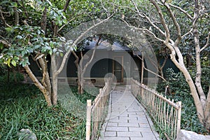 View of path with wooden fence and cute house in the jungle