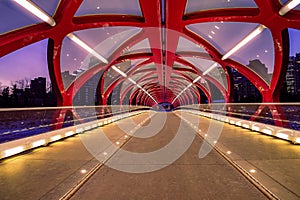 Illuminated Walkway On The Peace Bridge