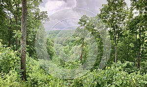 The view from the peak of Buivydai mound