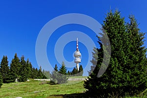 View of peak Snezhanka