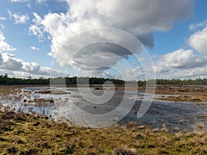 View of the peat bog lake on a sunny day