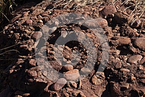 VIEW OF PEBBLES EMBEDDED IN CONGLOMERATE ROCK