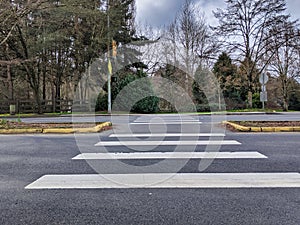 View of a pedestrian crosswalk in a suburban neighborhood in the Pacific Northwest