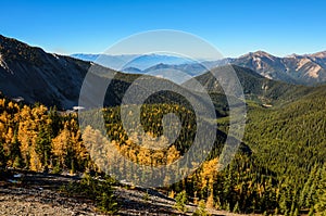 Pedley Pass Landscape in Fall