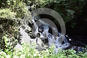 View of Peguche Waterfall in the mountains. It's surrounded by green forest full of vegetation. Ecuador