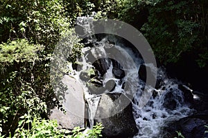 View of Peguche Waterfall in the mountains. It's surrounded by green forest full of vegetation. Ecuador