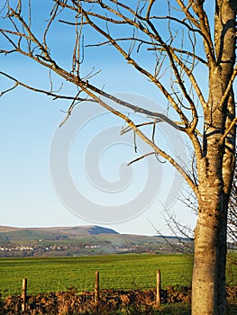 View of Pendle Hill in Burnley Lancashire in winter