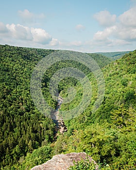 View from Pendleton Point, at Blackwater Falls State Park in Davis, West Virginia