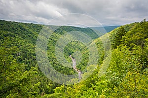 View from Pendleton Point, in Blackwater Falls State Park, West Virginia