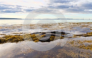 View of Penobscot Bay in Maine at low tide with rocks and seaweed exposed