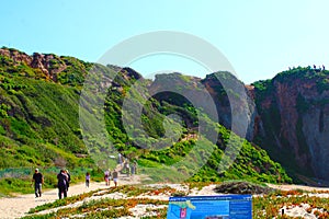 People hiking at the beach with lush green hillsides photo