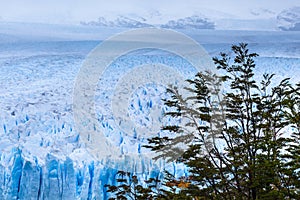 View of Perito Moreno Glacier, Los Glaciares National Park, Argentina