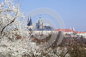 View from Petrin to Prague castle at spring