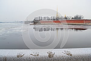 View of the Petropavlovskaya fortress in St. Petersburg photo