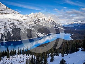 View of Peyto Lake in Banff National Park