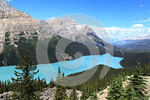 view of Peyto Lake in the Banff National Park, Alberta, Canada