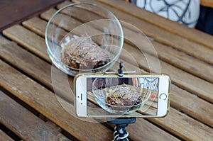 View of phone shooting footage of opening Rose of Jericho Anastatica hierochuntica plant in glass bowl. Shooting timelapse on