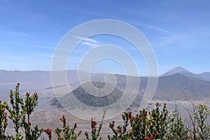 View of photogenic Batok volcano and Bromo crater through tropical vegetation. Picturesque valley of volcanic caldera with volcano