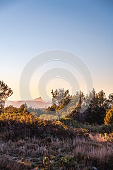 View of the Pic Saint Loup from the hill of La LiquiÃ¨re, South of France