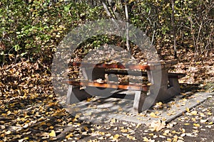 A view of a picnic table covered with fall leaves in a park.  Burnaby BC Canada