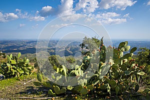 View from Picota near Monchique in Algarve, Portugal, into the valley of Serra de Monchique photo