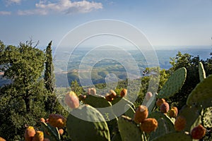View from Picota near Monchique in Algarve, Portugal, into the valley of Serra de Monchique photo