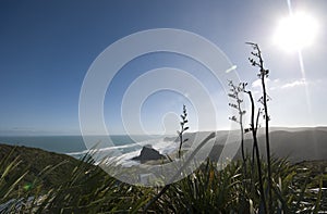 View of Piha Beach