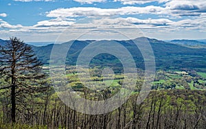 View from Pine Tree Overlook