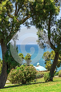 View through the pine trees and shrubs on the turquoise sea of Tel-Aviv in Israel in the summer