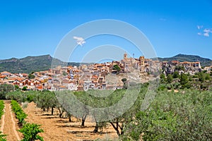 View of Pinell de Brai, Catalonia, Spain photo