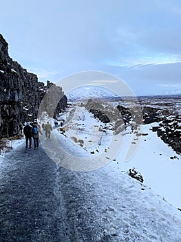 A view of the Pingvellir National Park in Iceland in the winter