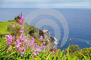 View of pink flowers to background lighthouse and the ocean from a cliff in the city of Nordeste, Azores, Portugal.